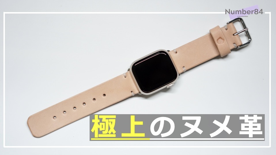Apple Watch band
