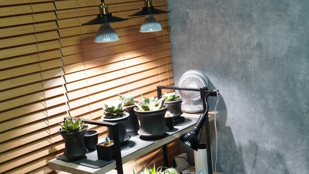 植物用LEDをスマート化