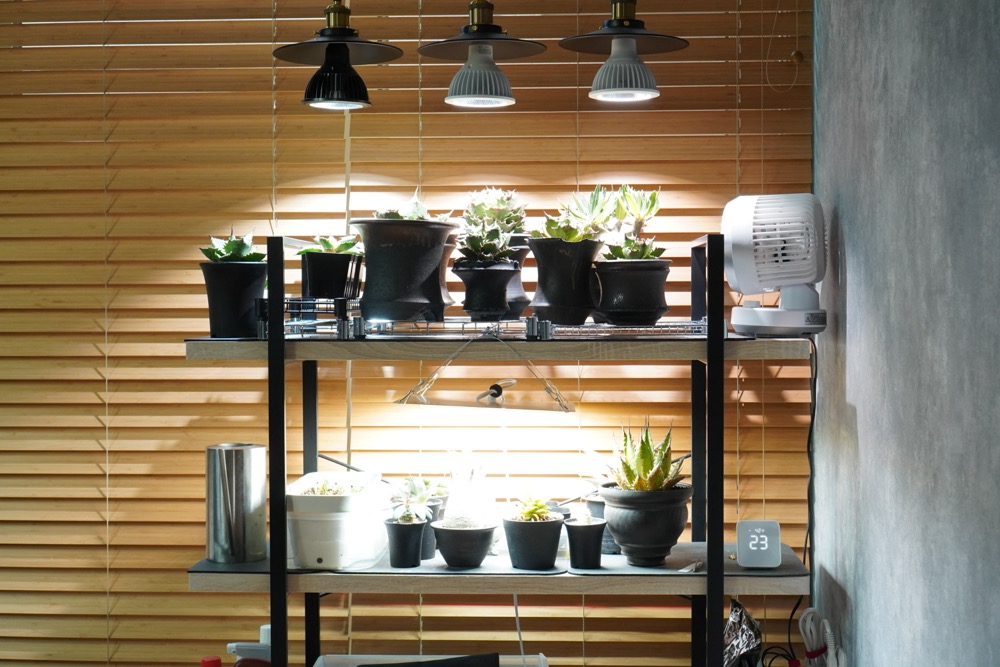 書斎の植物育成棚