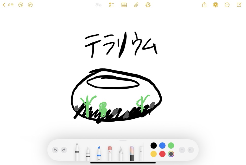 テラリウムのラフスケッチ