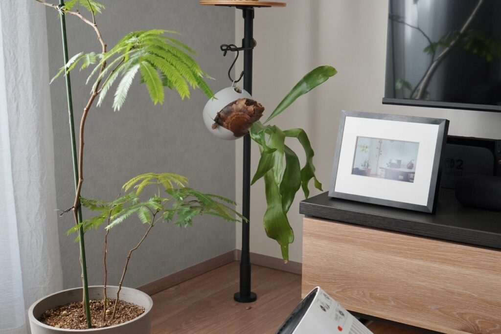 7.3インチをTV台に設置した様子