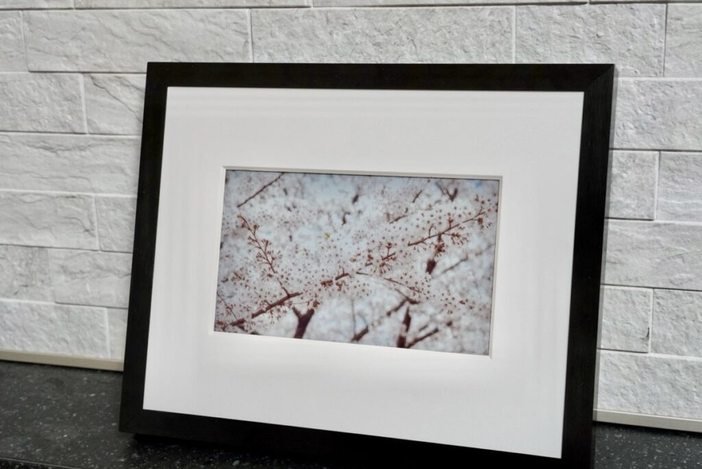 AIで生成した桜をディスプレイに表示