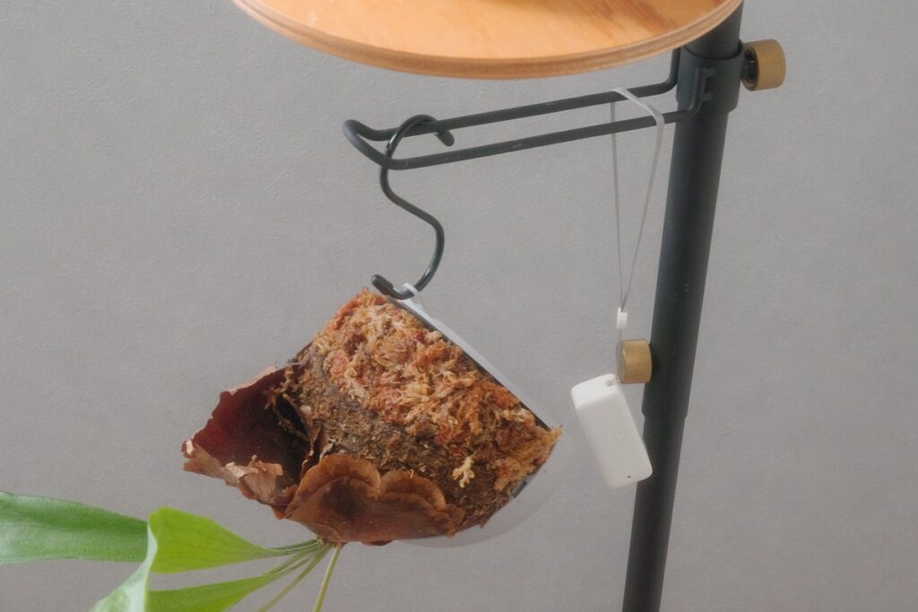 観葉植物にぴったりの防水温湿度計